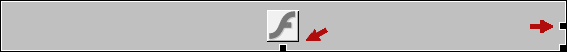 flash object